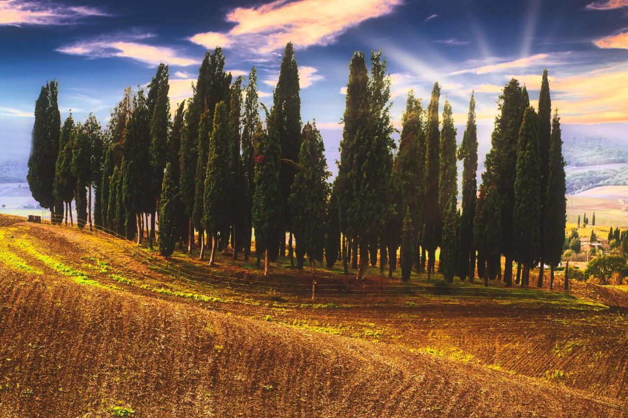Podere Pietreta Radicofani Exteriér fotografie